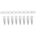 Scientific Specialties UltraFlux Low Profile PCR Tubes, White Tube w/Clear Cap, 125 Strips of 8 Tubes/PK 145570
